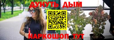 дмт Аргун