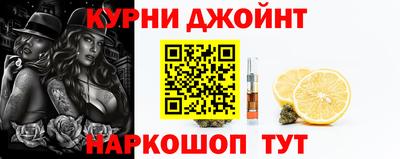 дмт Аргун