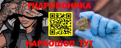 дмт Аргун