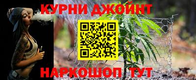 дмт Аргун