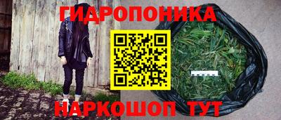 прущие грибы Апшеронск